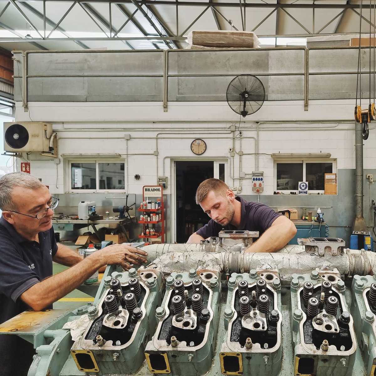 Imagen de Capitol 12 - 2022